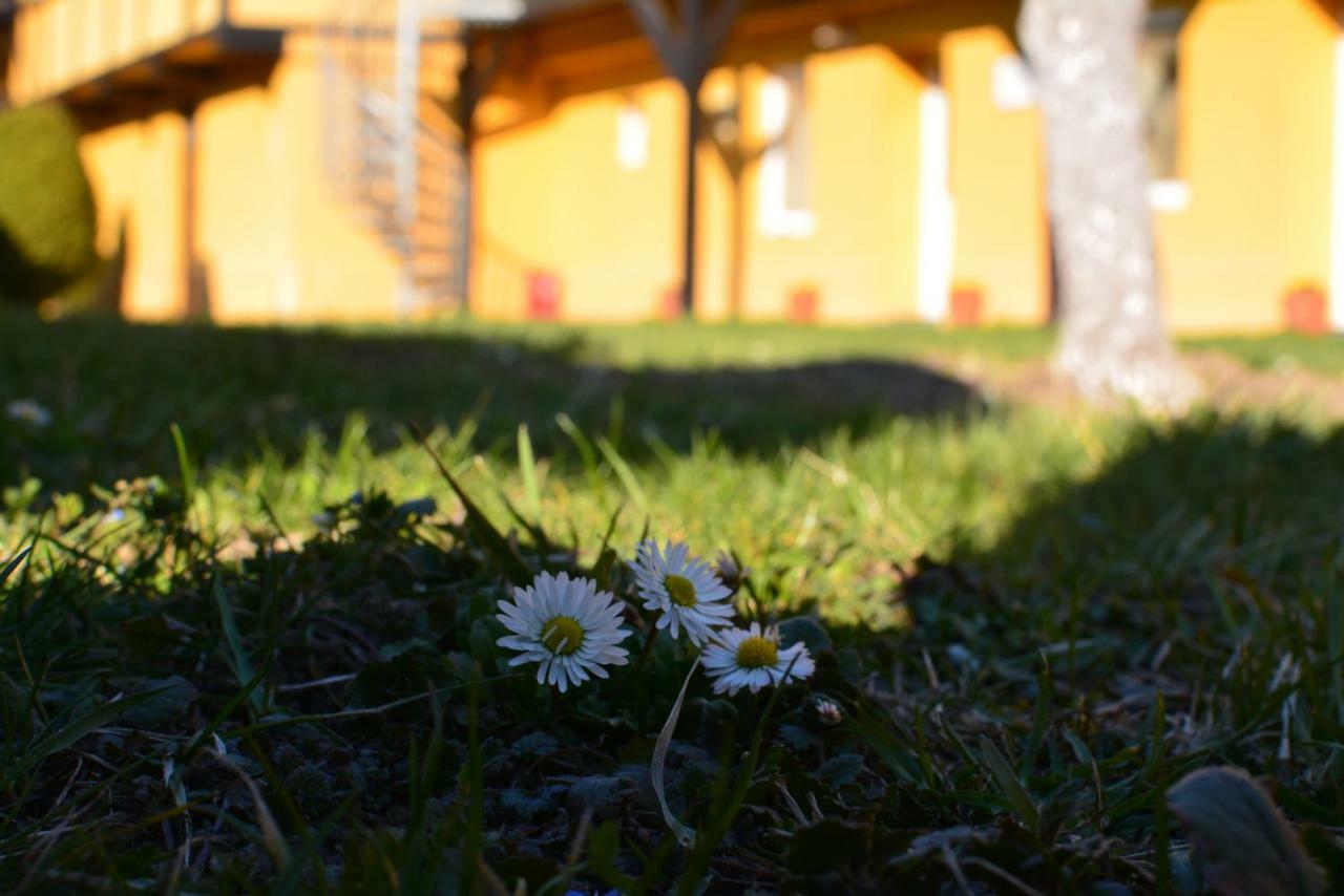 Cristian Inn Cristian (Brasov) Exterior foto